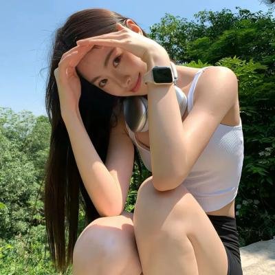 鬣狗之城